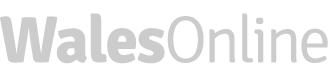 WlaesOnline-logo